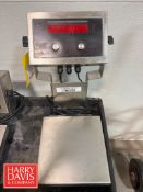 Rice Lake S/S Table Top Scale: 10