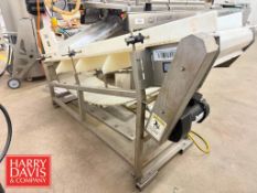 S/S Integral Incline Conveyor with Drive