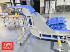 Portable S/S Flighted Inclined Conveyor: 12' x 12