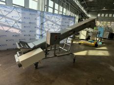 RMF S/S INCLINE AUGER CONVEYOR