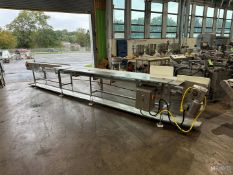 STRAIGHT SECTION OF S/S INSPECTION CONVEYOR