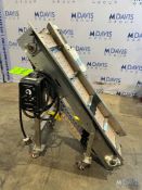 45”L INCLINE CONVEYOR