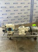 WAUKESHA CHERRY-BURRELL POSITIVE DISPLACEMENT PUMP
