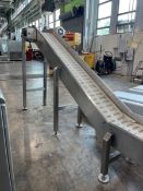 S/S INCLINE CONVEYOR