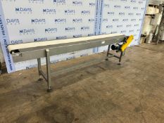 Straight Section of Conveyor,