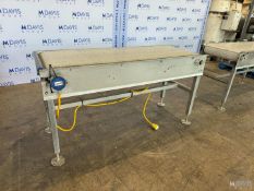 STRAIGHT SECTION OF S/S CONVEYOR