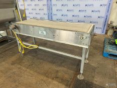 ADVANCED MANUFACTURING TECHNOLOGY STRAIGHT SECTION OF S/S CONVEYOR