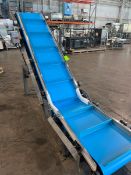 SMALLEY CLEATED INCLINE CONVEYOR