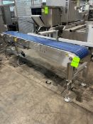 STRAIGHT SECTION OF S/S CONVEYOR