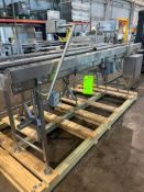 SECTION OF S/S CONVEYOR