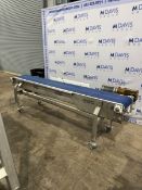 PORTABLE S/S CONVEYOR