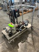 FRISTAM POSITIVE DISPLACEMENT PUMP