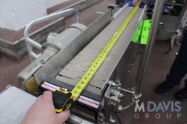 S/S BOSTON CONVEYOR AND AUTOMATION TRAY CONVEYOR