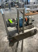 FRISTAM POSITIVE DISPLACEMENT PUMP