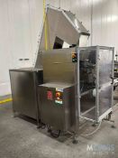 2015 PALACE PACKAGING BOTTLE ORIENTER & UNSCRAMBLING SYSTEM