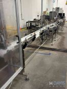 STRAIGHT SECTION OF S/S PRODUCT CONVEYOR