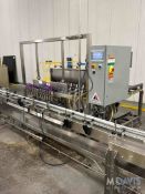 APACKS 12-HEAD IN-LINE FILLER