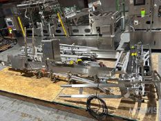 SMALL BOTTLE LINE S/S CONVEYORS ON SKID