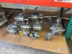(10) S/S BALL VALVES