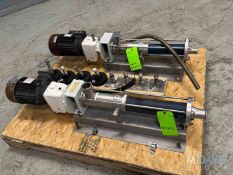 LOT OF (2) PROGRESSIVE CAVITY PUMPS