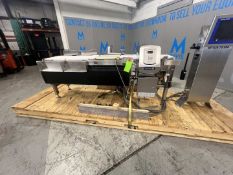 2017 CEIA AND METTLER TOLEDO COMBO CHECK WEIGHER AND METAL DETECTOR