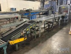 STRAIGHT SECTION OF CASE CONVEYOR