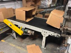 STRAIGHT SECTION OF TRANSFER CASE CONVEYOR