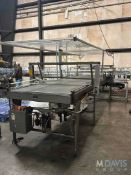 DYCO DEBAGGING TABLE