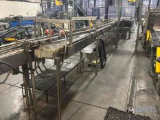 (2) SECTIONS OF CONVEYOR