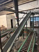 HYTROL INCLINE CASE CONVEYOR WITH STRAIGHT SECTION OF ROLLER CONVEYOR