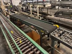 HYTROL STRAIGHT SECTION OF CASE CONVEYOR