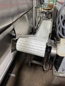 S/S INCLINE CONVEYOR