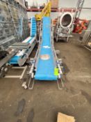 CLEATED PORTABLE INCLINE CONVEYOR, APPROX. 20 IN. W SANITARY BELT(LOCATED IN GREENBAY, WI) (