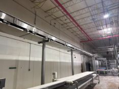 EAGLESTONE STRAIGHT SECTION OF CONVEYOR