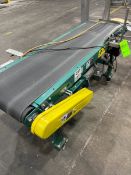 AUTOMATED CONVEYOR SYSTEMS BELT CONVEYOR
