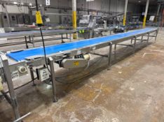 STRAIGHT SECTION OF CONVEYOR