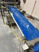 INCLINE CONVEYOR