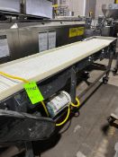 BELT CONVEYOR