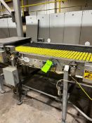 BMI S/S STRAIGHT SECTION BELT CONVEYOR