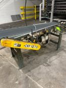 HYTROL STRAIGHT SECTION BELT CONVEYOR