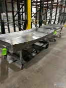 (2) STAINLESS STEEL PUSH TABLES ON WHEELS