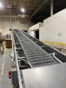 BMI SECTION OF S/S INCLINE CONVEYOR