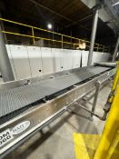 BMI S/S STRAIGHT SECTION BELT CONVEYOR