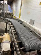 BMI 90 DEGREE S/S CONVEYOR