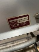 BMI DUAL LANE S/S CONVEYOR