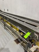 BMI S/S DUAL LANE CONVEYOR
