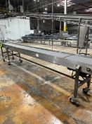 BMI S/S STRAIGHT SECTION CONVEYOR