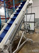 THOMAS CONVEYOR INCLINE CLEATED CONVEYOR