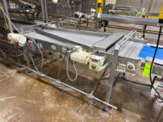 BMI STRAIGHT SECTION OF FILING CONVEYOR