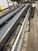 BMI DUAL LANE S/S CONVEYOR